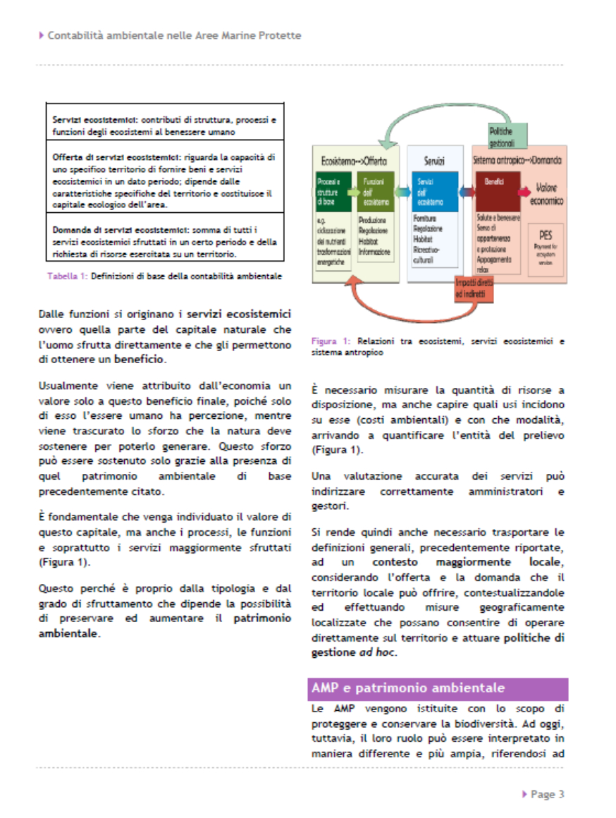 prg-cont-pg3