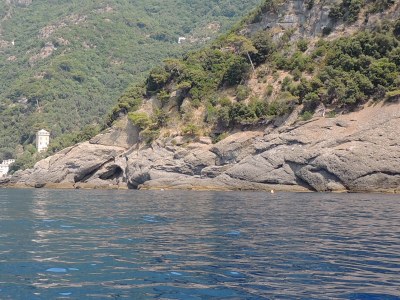 foto Massa