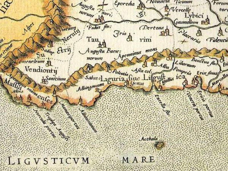 immagine wikipedia