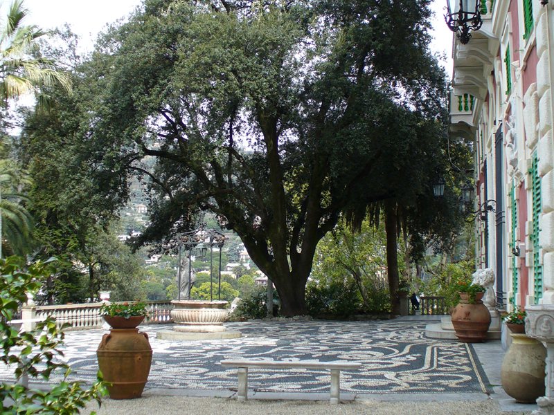 foto Massa