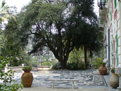 foto Massa