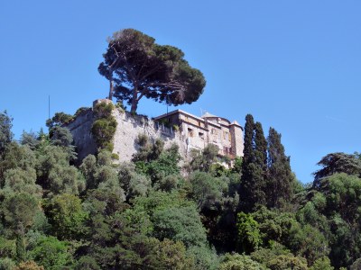 foto Massa