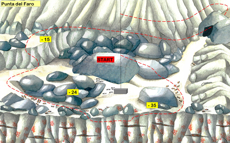 disegno del fondale