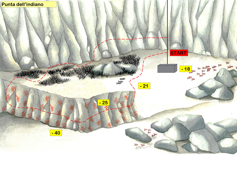 disegno del fondale