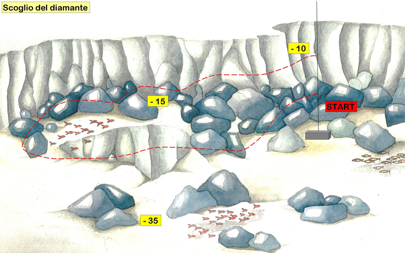 disegno del fondale