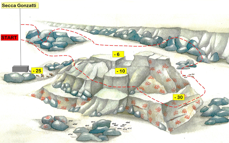 disegno del fondale