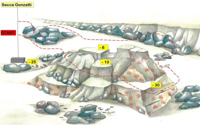 disegno del fondale