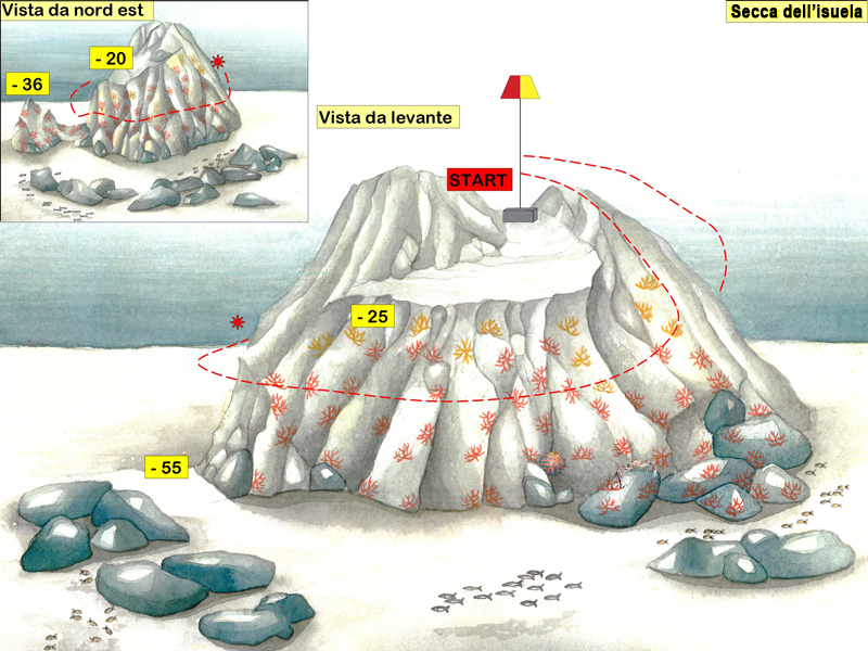 disegno del fondale