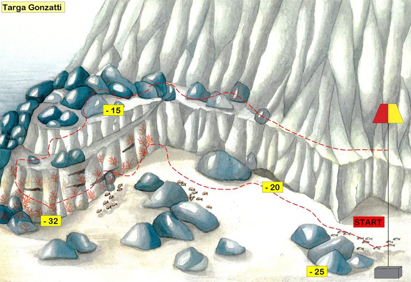 disegno del fondale