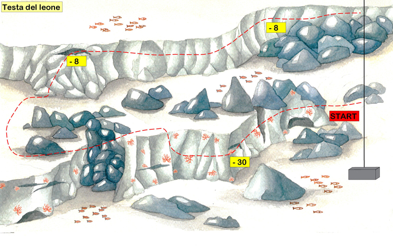disegno del fondale