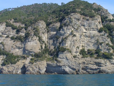 foto Massa
