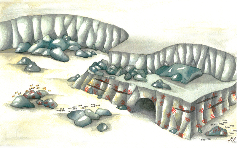 disegno del fondale