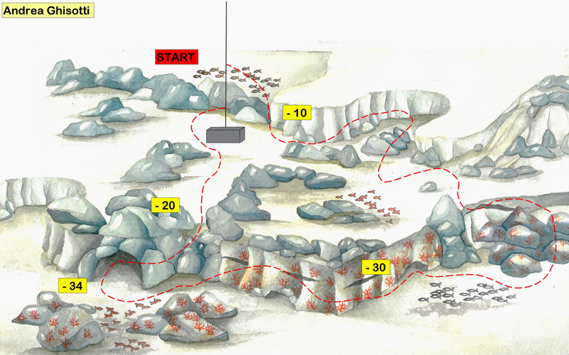 disegno del fondale