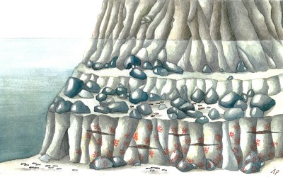 disegno del fondale