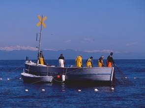 pesca artigianale