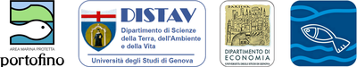 logo_montemarcello