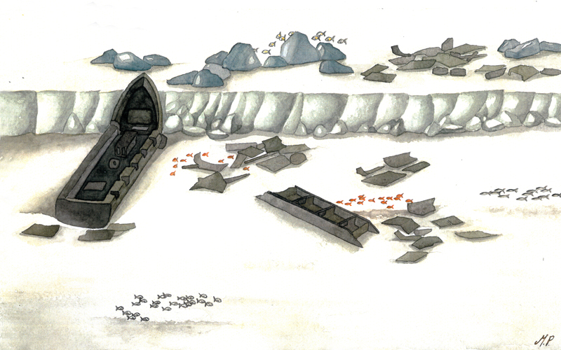 disegno del fondale
