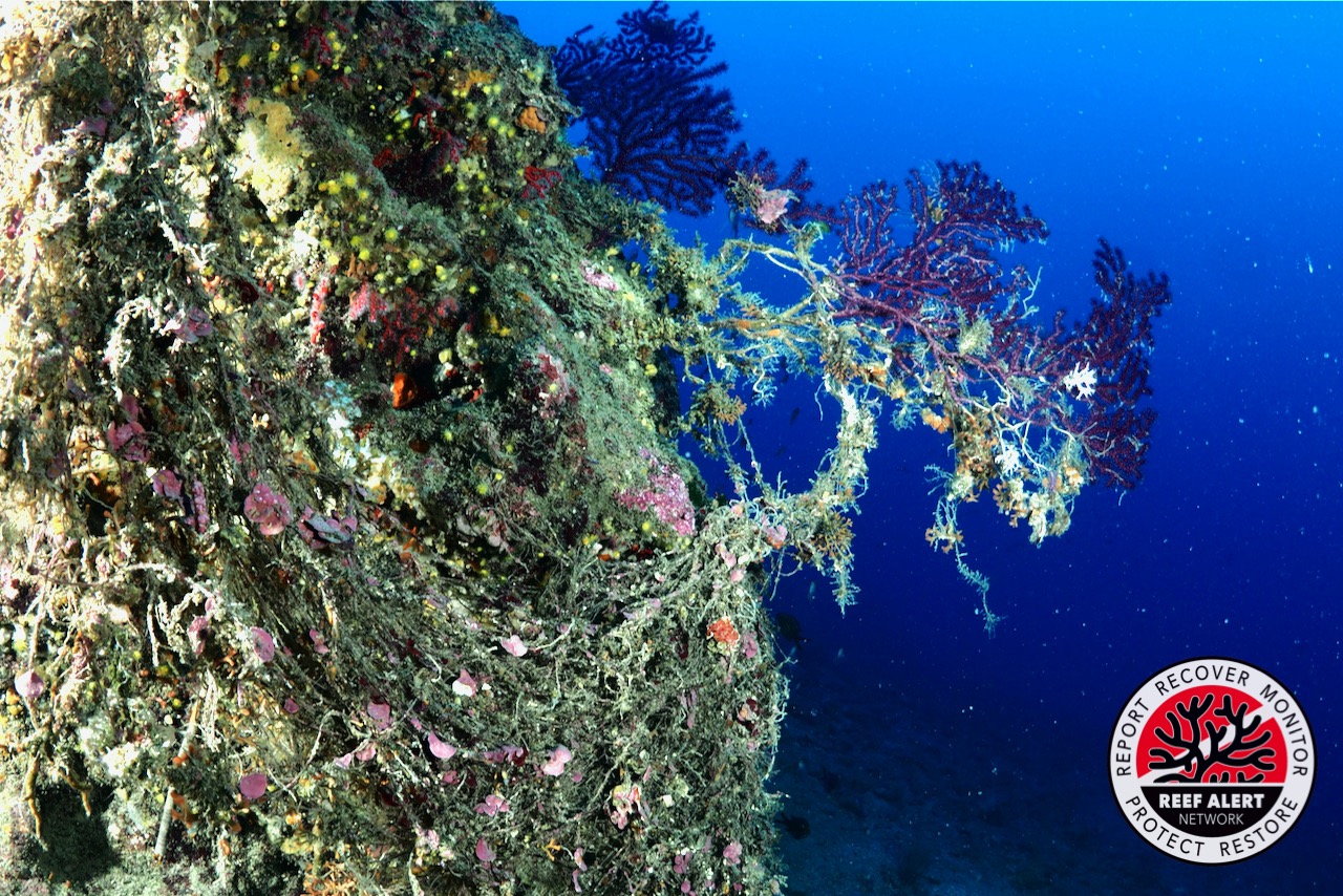 attezzi da pesca- reef alert network 