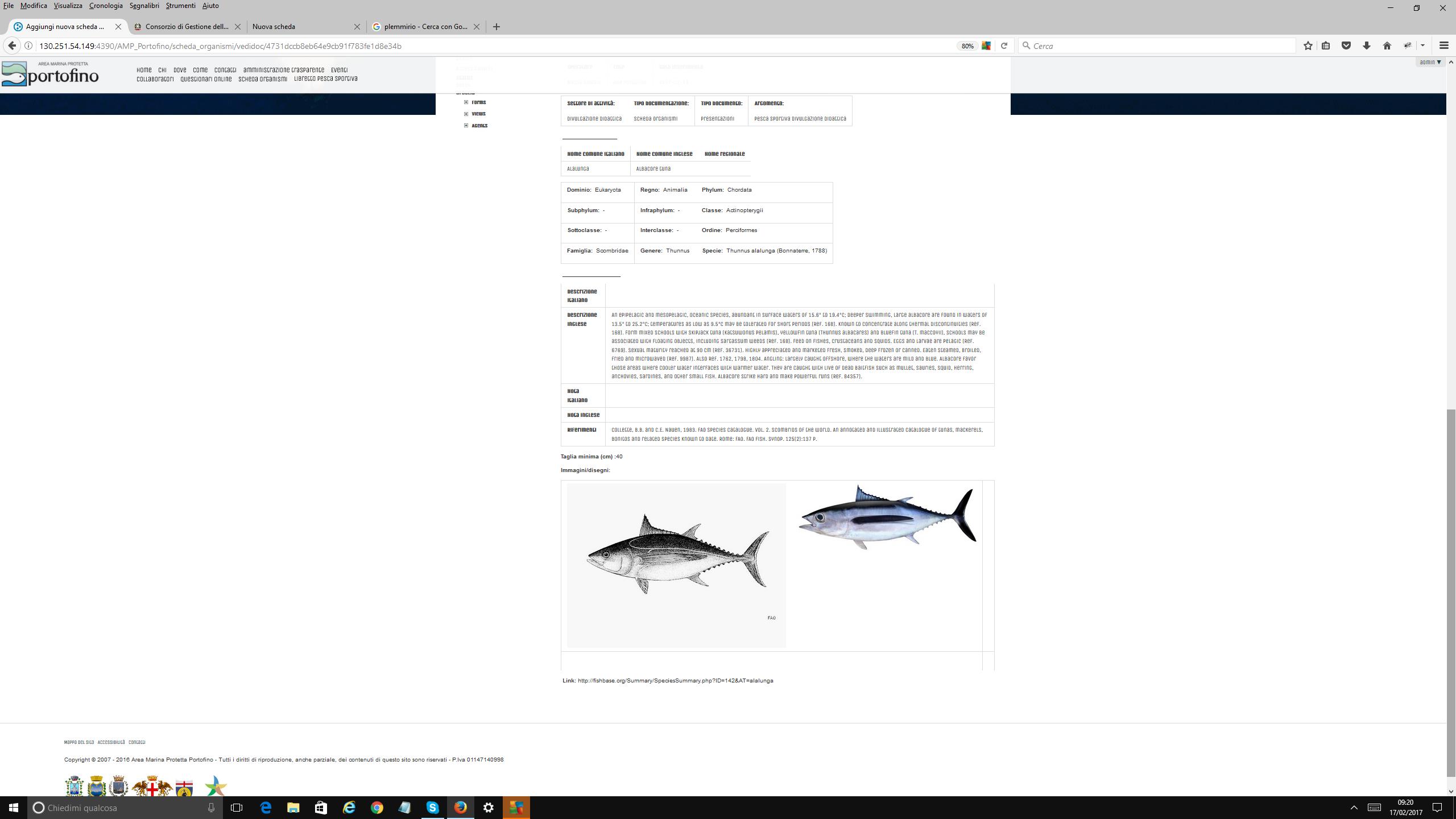scheda pesce1