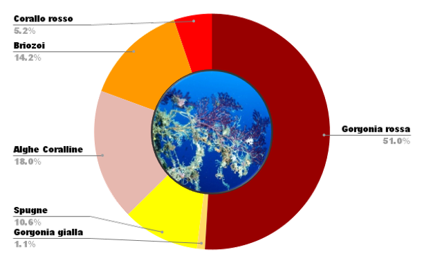 suddivisione organismi impattati 