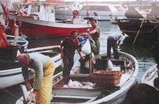 pescaturismo