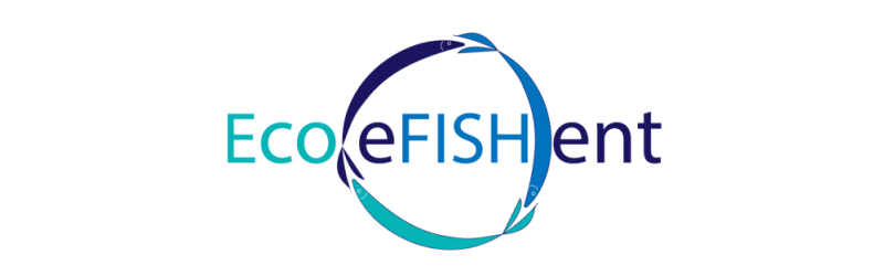 logo ecoefishent 