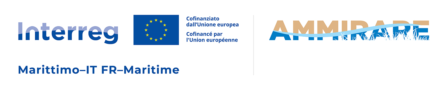 logo ammirare