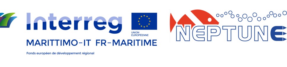 logo neptune marittimo