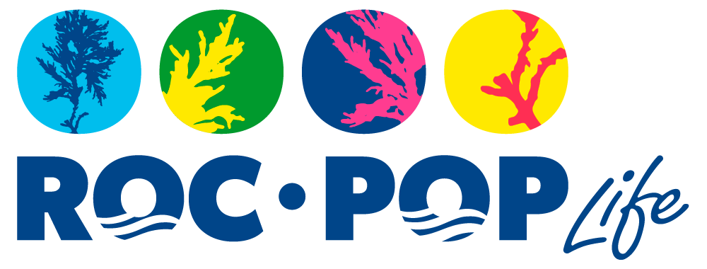 Logo Rocpop