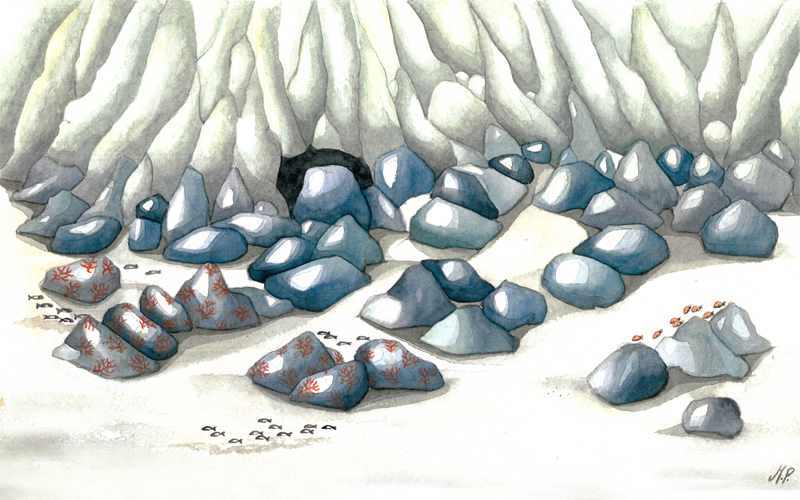 disegno del fondale