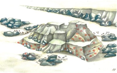 disegno del fondale