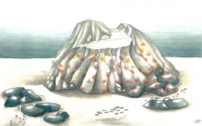 disegno secca vista da levante