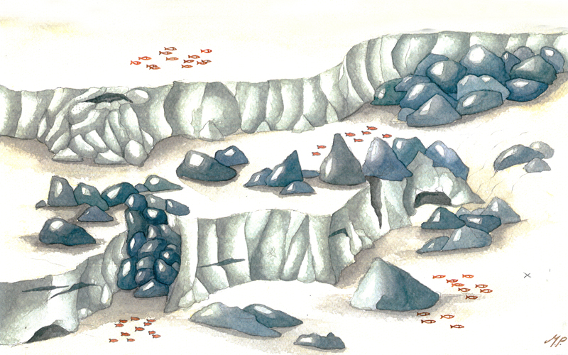 disegno del fondale