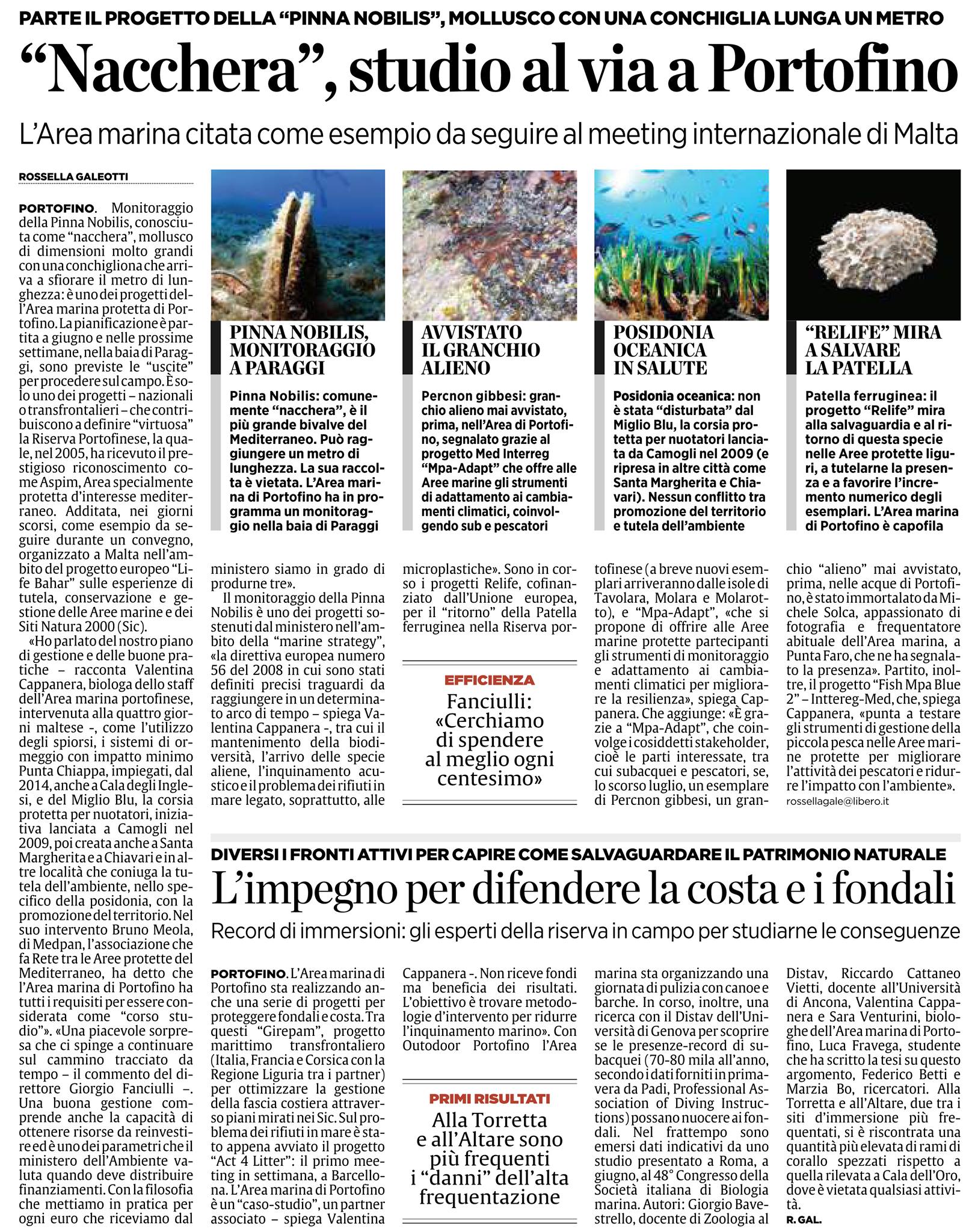 i progetti dell'AMP Portofino